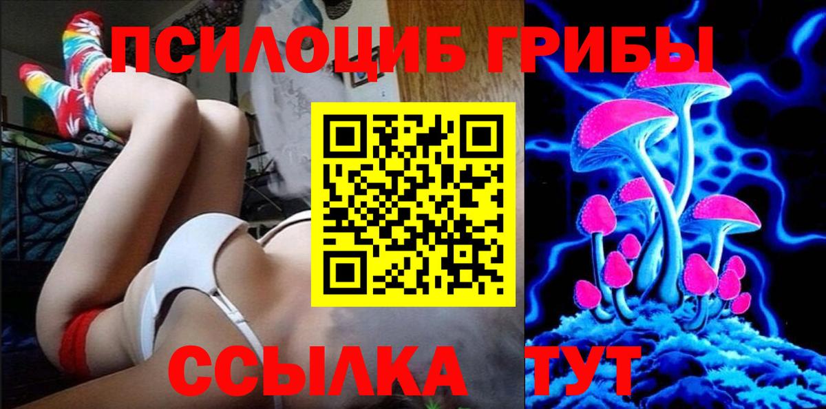 Горно-Алтайск  Псилоцибиновые грибы мицелий  Вход с VPN 