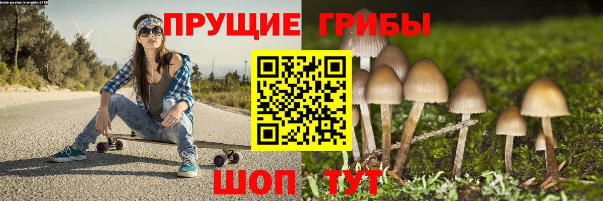 Галлюциногенные грибы Magic Shrooms Горно-Алтайск